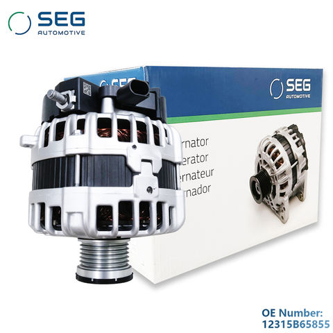 12315B65855 SEG Generator Alternator 48v OEM 12315B65855 12318490539 for BMW X7 G12 Car Alternator Assembly